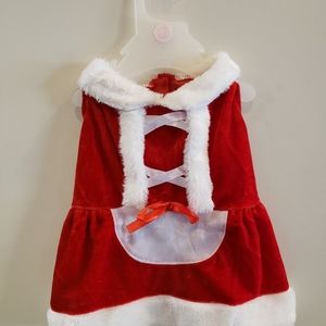 Adorable doggy Christmas dress